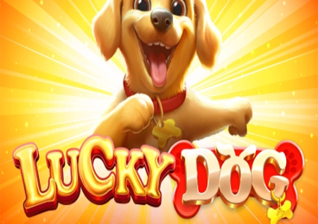 Recensione Di Lucky Dog