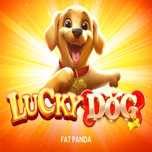 Recensione Di Lucky Dog
