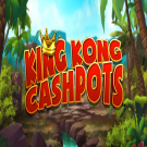 Recensione Di King Kong Cashpots