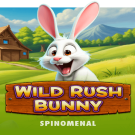 Recensione Di Wild Rush Bunny